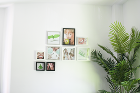 Proyecto Interiorismo 15 elvira.png