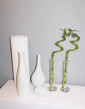 Proyecto Interiorismo 4 elvira.png